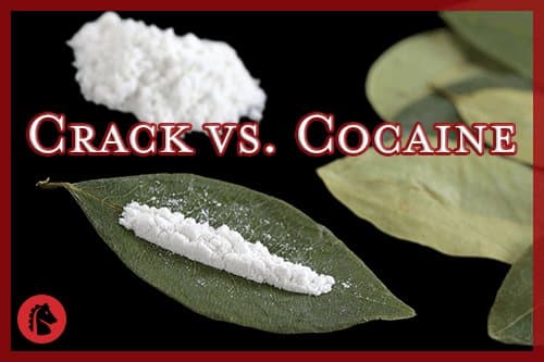 Buy Crack Cocaine USA